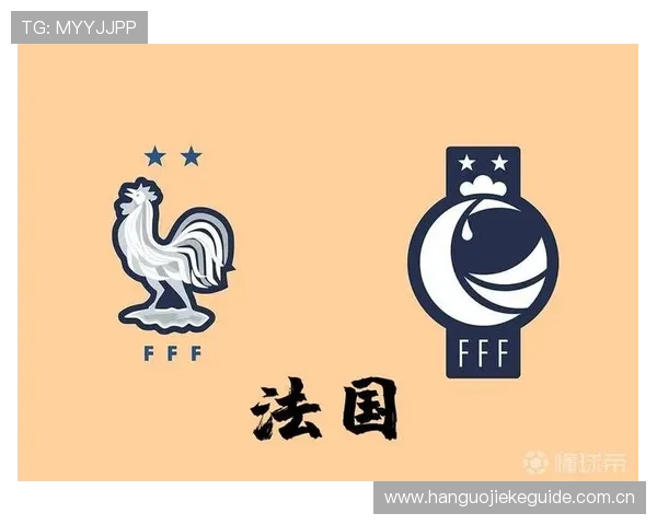 世界杯挪威法国国旗设计演变过程及其在比赛中的象征作用分析 世界杯挪威法国国旗设计演变过程及其在比赛中的象征作用分析